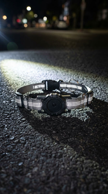 Anti-lost dog collar with positioning function