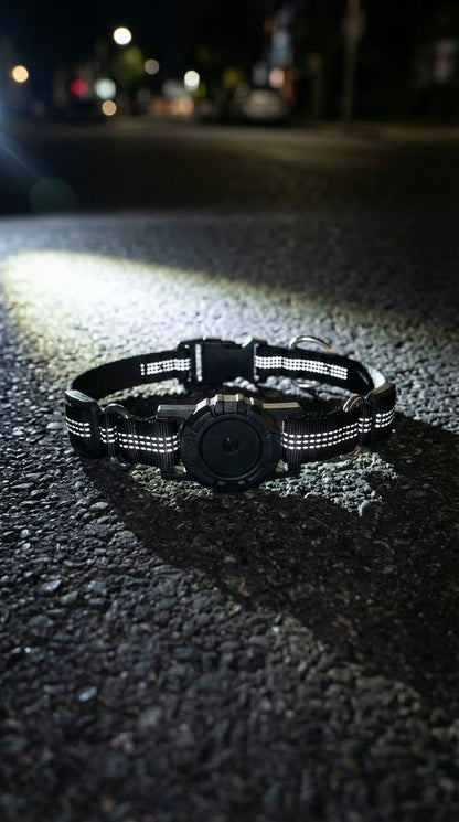 Anti-lost dog collar with positioning function