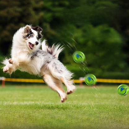 Juguete Interactivo para Perros -Wobble Wag-