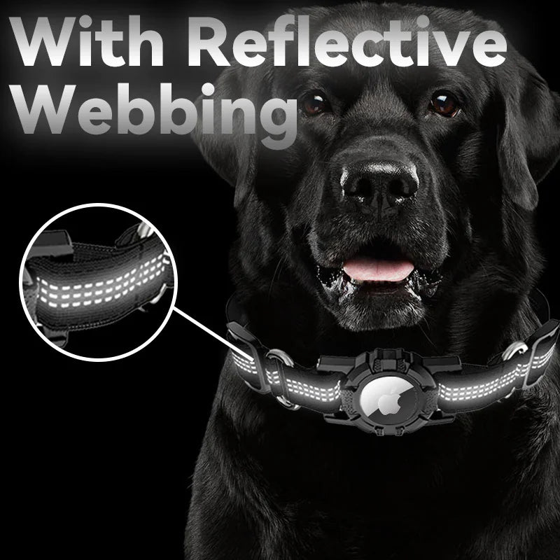 Anti-lost dog collar with positioning function
